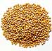 senap = mustard