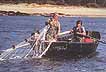 skottn�t = trammel net