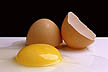 �gg = egg