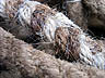 h�rt�g = hair rope
