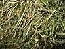 h� = hay