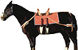 kl�fsadel = pack saddle