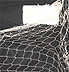 n�t = net