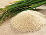ris = rice