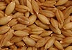 s�d = grain