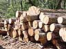 stock = log