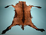 bockskinn = billy goat skin