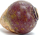 k�lrot = rutabaga