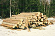 timmer = timber