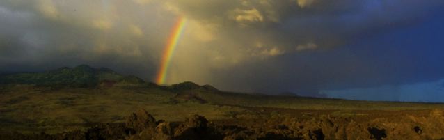 Rainbow Rainbow