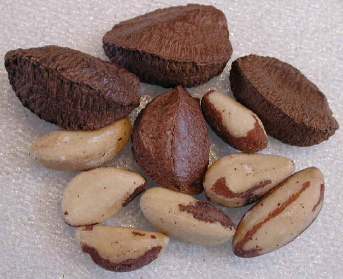 Brazil nuts (para nuts)
