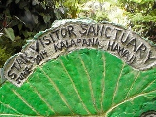 Star visitor sanctuary Star visitor sanctuary