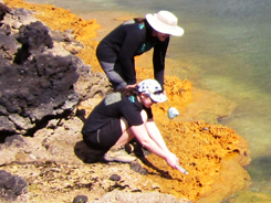 Collecting samples of the orange crust
