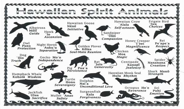 HI spirit animals