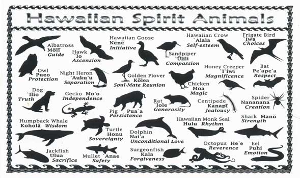 Hawaii Islands And Names Hawaii Islands And Names