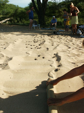 ... here they come ... here they come