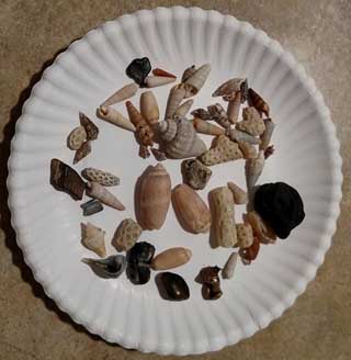 Mixed shells